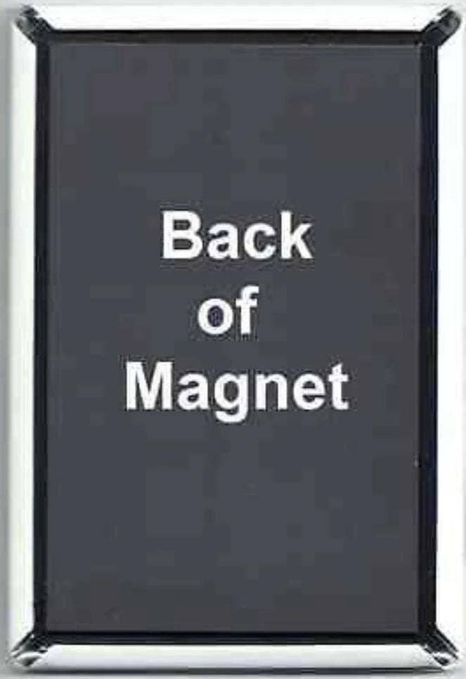 Welcome to Schitt's Creek - Magnet