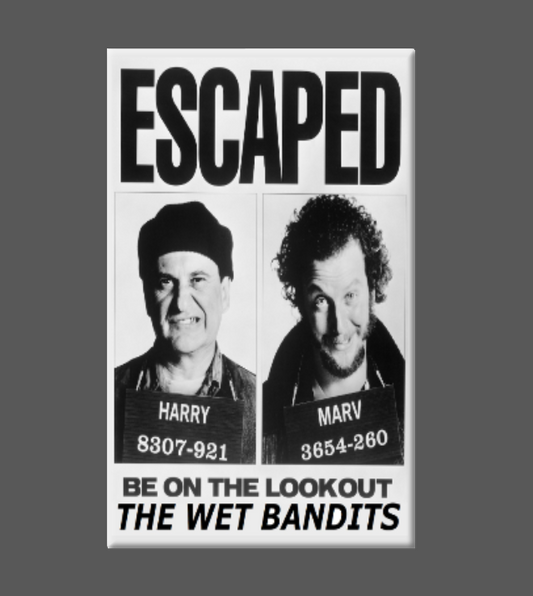 Home Alone Wet Bandits - Magnet