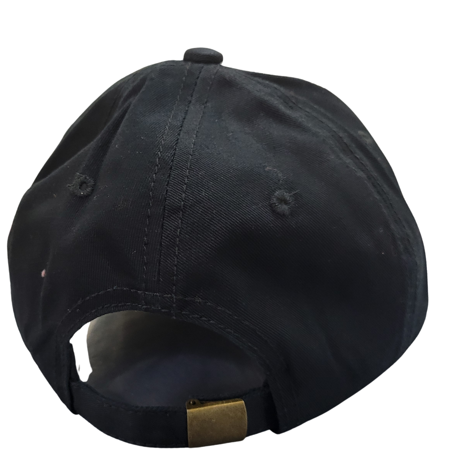 Jurassic Baltimore Hat